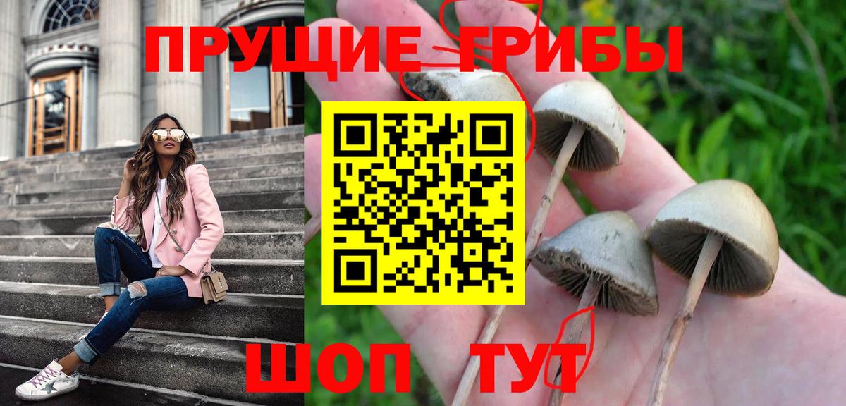 Галлюциногенные грибы мицелий  как найти наркотики  Ялуторовск  Вход с VPN 
